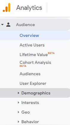 Image of how to find demographic information about Buyer Persona
