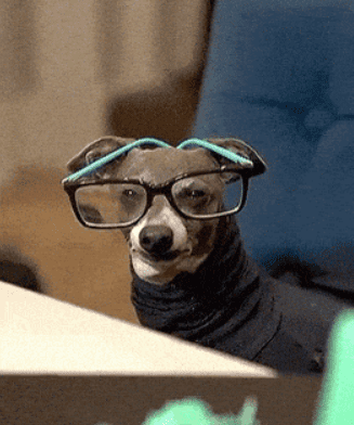 Squinting dog with glasses meme