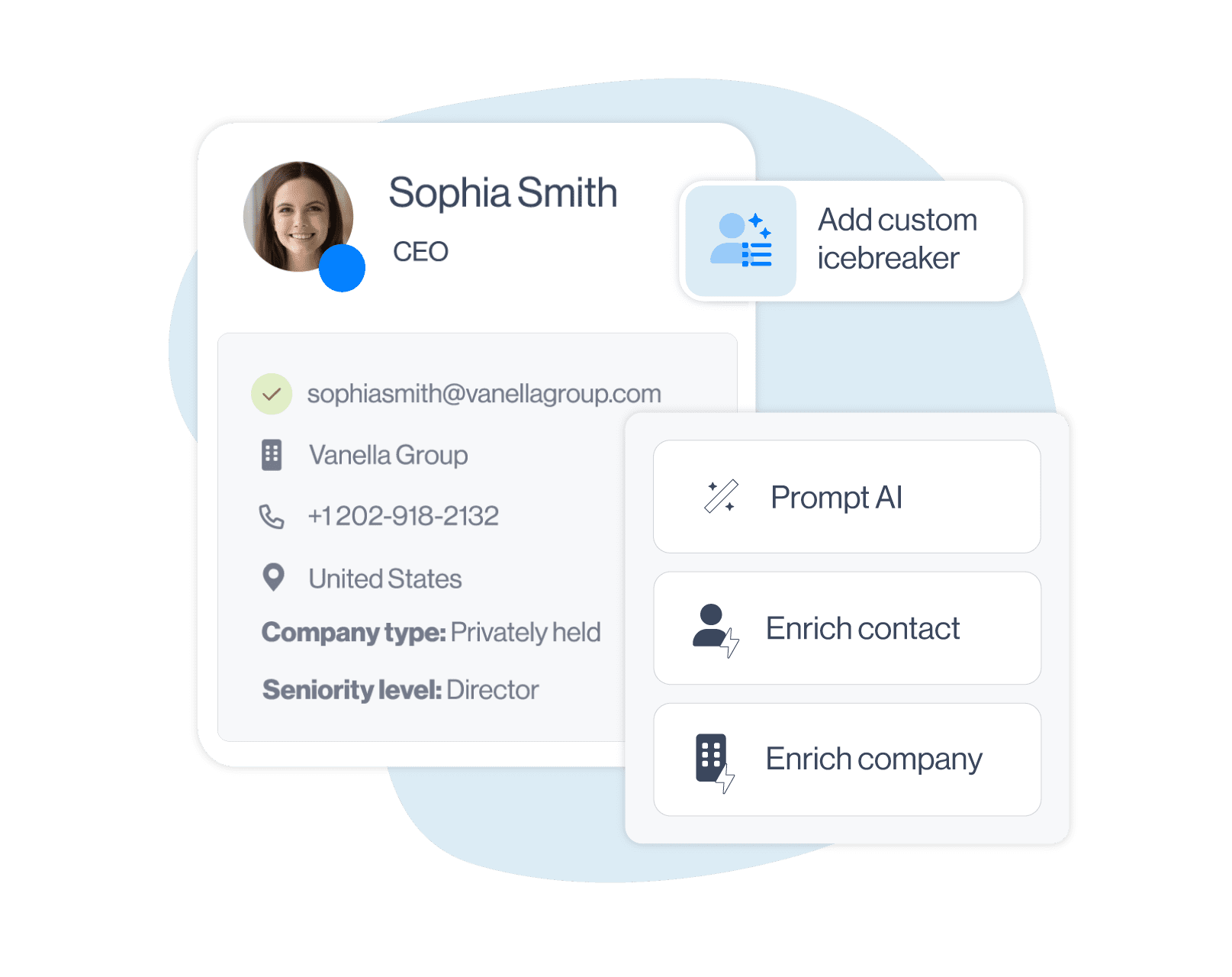 AI data enrichment SS, bigger