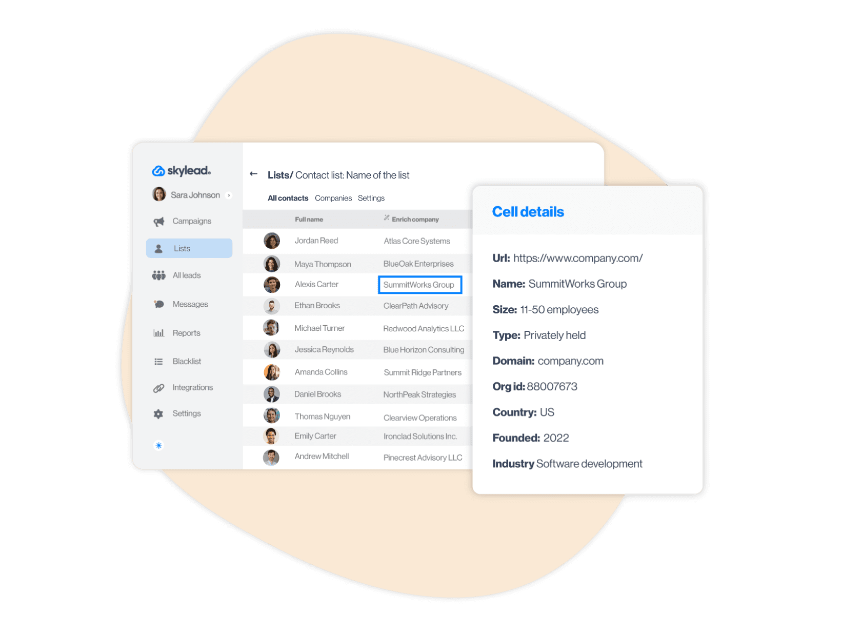 AI data enrichment 1